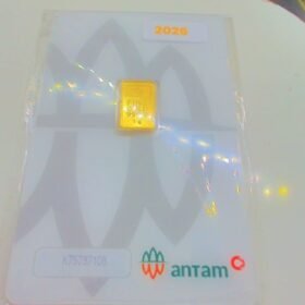 9218017 - LM CERTIEYE [2026] K75787108 [24K - 1gr]